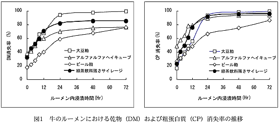 図1 牛のルーメンにおける乾物(DM)および粗蛋白質(CP)消失率の推移