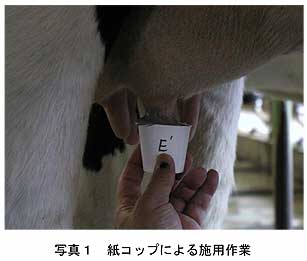 写真1 紙コップによる施用作業
