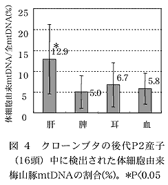 図 4  クローンブタの後代P2産子(16頭)中に検出された体細胞由来梅山豚mtDNAの割合(%)。