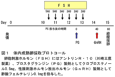 図1 体内成熟卵採取プロトコール