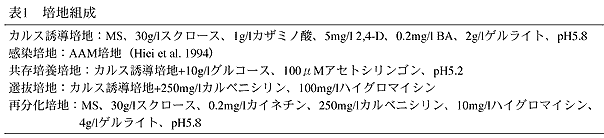 表1 培地組成