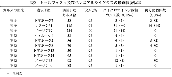 表2 トールフェスク及びペレニアルライグラスの形質転換効率