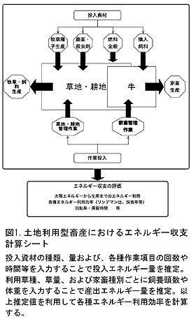 図1.土地利用型畜産におけるエネルギー収支計算シート