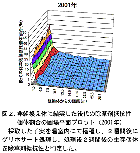 図2.非組換え体に結実した後代の除草剤抵抗性個体割合の圃場平面プロット(2001年)