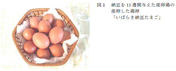 図1 納豆を13 週間与えた産卵鶏の産卵した鶏卵「いばらき納豆たまご」