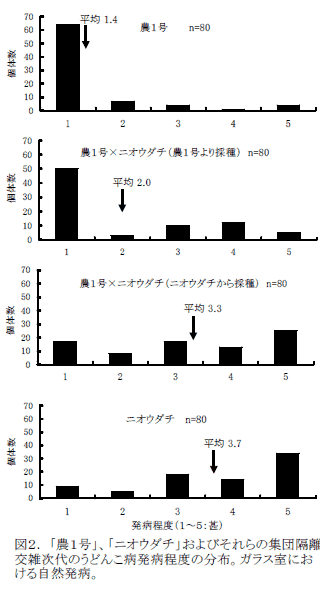 図2. 「ER3」、「ニオウダチ」およびそれらの集団隔離交雑次代のうどんこ病発病程度の分布。ガラス室における自然発病。