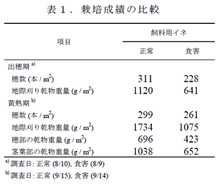 表1 . 栽培成績の比較