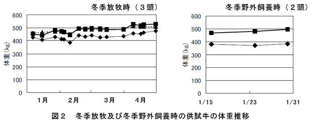 図2 冬季放牧及び冬季野外飼養時の供試牛の体重推移