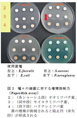 図2 種々の細菌に対する増殖抑制力(Paperdisk assay)