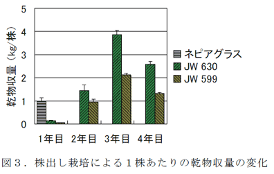 図3.株出し栽培による1株あたりの乾物収量の変化