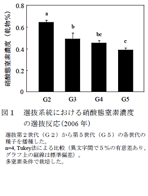 図1 選抜系統における硝酸態窒素濃度の選抜反応(2006 年)