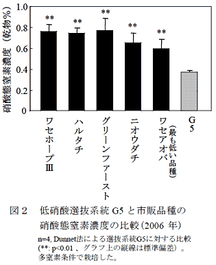 図2 低硝酸選抜系統G5 と市販品種の硝酸態窒素濃度の比較(2006 年)