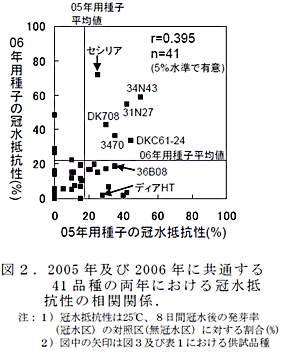 図2 .2005 年及び2006 年に共通する41 品種の両年における冠水抵抗性の相関関係.
