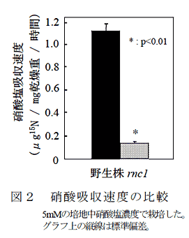 図2 硝酸吸収速度の比較