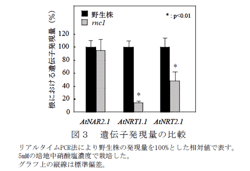 図3 遺伝子発現量の比較