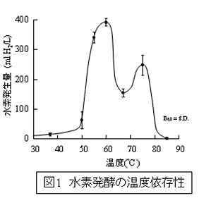 図1 水素発酵の温度依存性