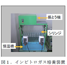 図1.インビトロガス培養装置