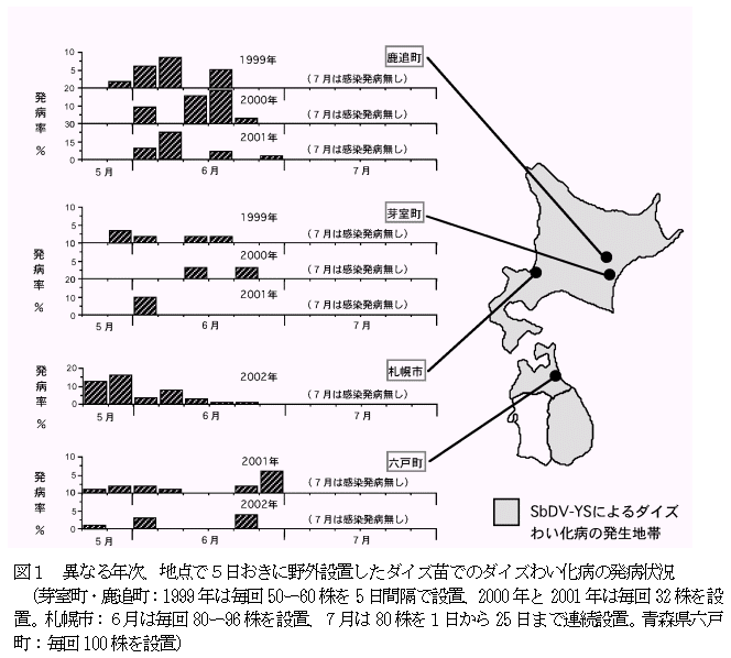 図1 異なる年次、地点で5日おきに野外設置したダイズ苗でのダイズわい化病の発病状況