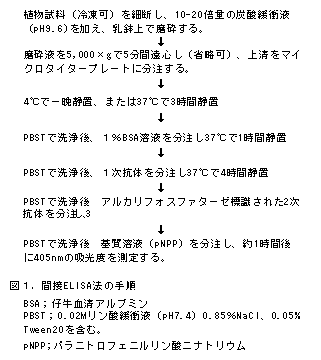 図1.間接ELISA法の手順