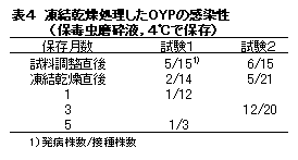 表4 凍結乾燥処理したOYPの感染性