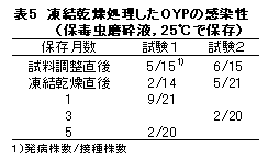 表5 凍結乾燥処理したOYPの感染性