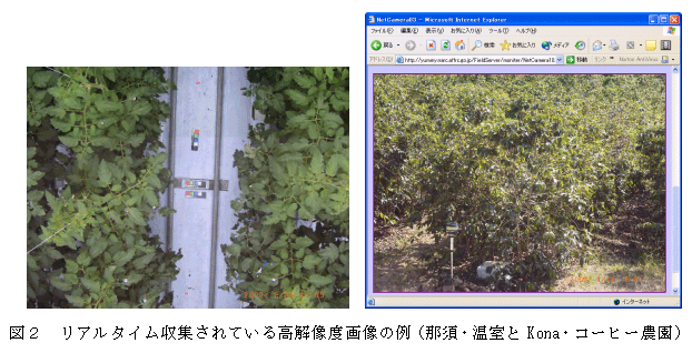 図2 リアルタイム収集されている高解像度画像の例
