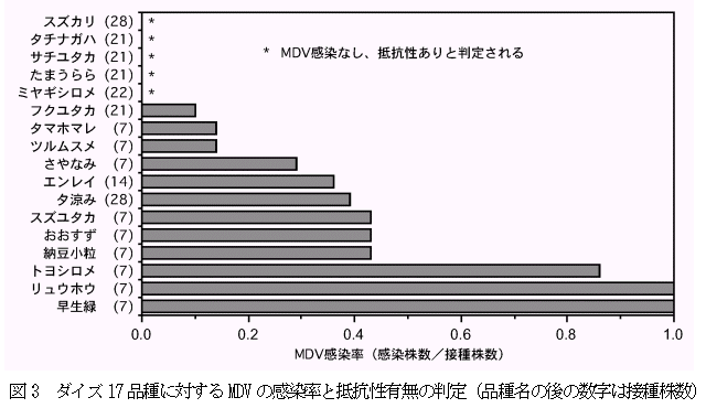 図3 ダイズ17 品種に対するMDV の感染率と抵抗性有無の判定
