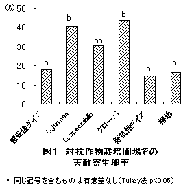 図1.対抗作物栽培圃場での天敵寄生卵率