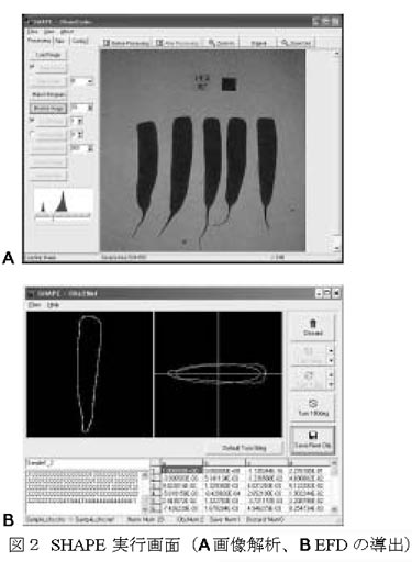 図2 SHAPE実行画面(A画像解析、B EFDの導出)