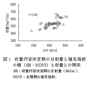 図1 収量内容決定期の日射量と植生指数