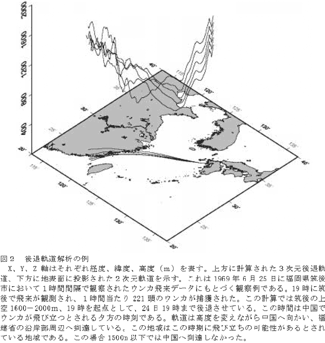 図2 後退軌道解析の例