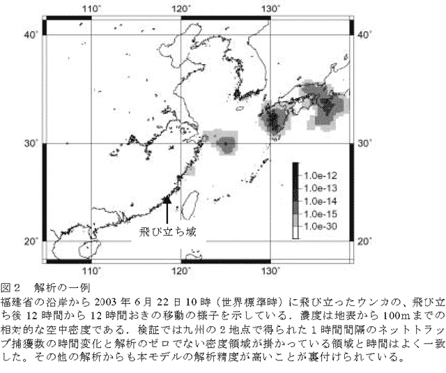 図2 解析の一例