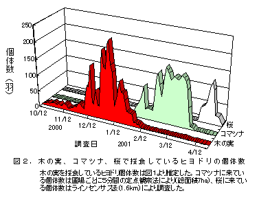 図2.木の実、コマツナ、桜で採食しているヒヨドリの個体数