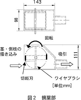 図2 摘葉部