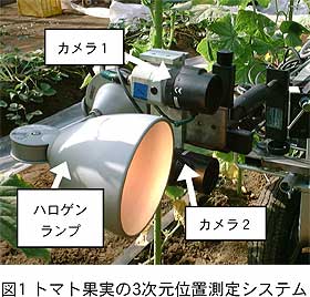 図1 トマト果実の3 次元位置測定システム