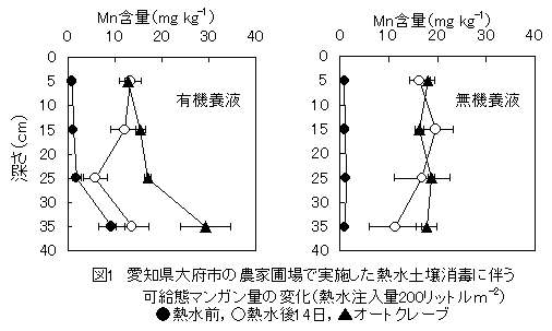 図1 愛知県大府市の農家圃場で実施した熱水土壌消毒に伴う可給態マンガン量の変化