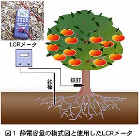 図1 静電容量の模式図と使用したLCRメータ