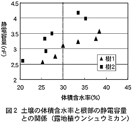図2 土壌の体積含水率と根部の静電容量との関係(露地植ウンシュウミカン)