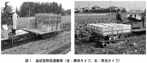 図1 追従型野菜運搬車(左:標準タイプ、右:簡易タイプ)