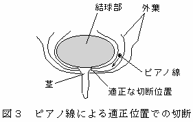 図3 ピアノ線による適正位置での切断