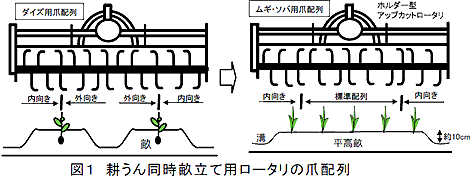 図1 耕うん同時畝立て用ロータリの爪配列