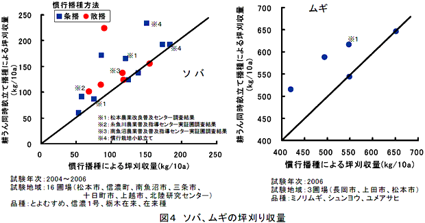 図4 ソバ、ムギの坪刈り収量