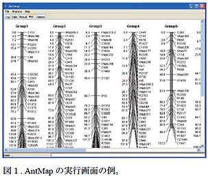 図1. AntMap の実行画面の例。