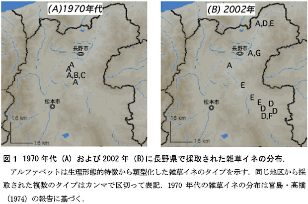 図1 1970 年代 (A) および2002 年(B)に長野県で採取された雑草イネの分布.