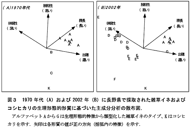 図3 1970 年代(A)および2002 年(B)に長野県で採取された雑草イネおよびコシヒカリの生理形態的形質に基づいた主成分分析の散布図.