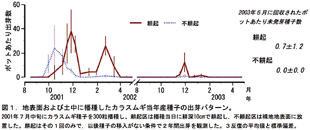 図1. 地表面および土中に播種したカラスムギ当年産種子の出芽パターン。