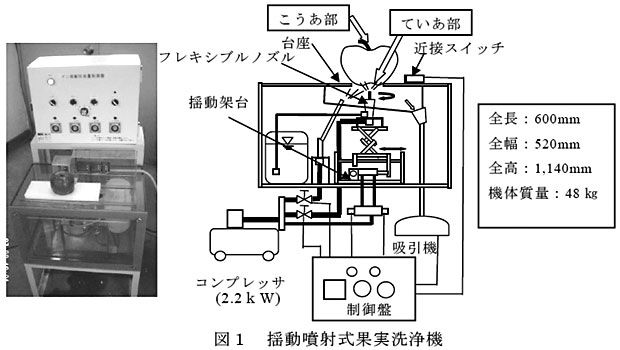 図1 揺動噴射式果実洗浄機