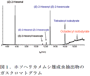 図1.ホソヘリカメムシ雄成虫抽出物のガスクロマトグラム
