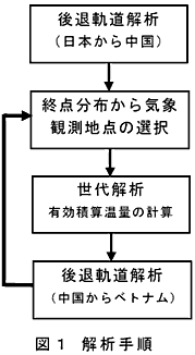 図1 解析手順