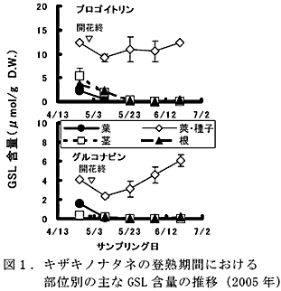 図1.キザキノナタネの登熟期間における部位別の主なGSL 含量の推移(2005 年)